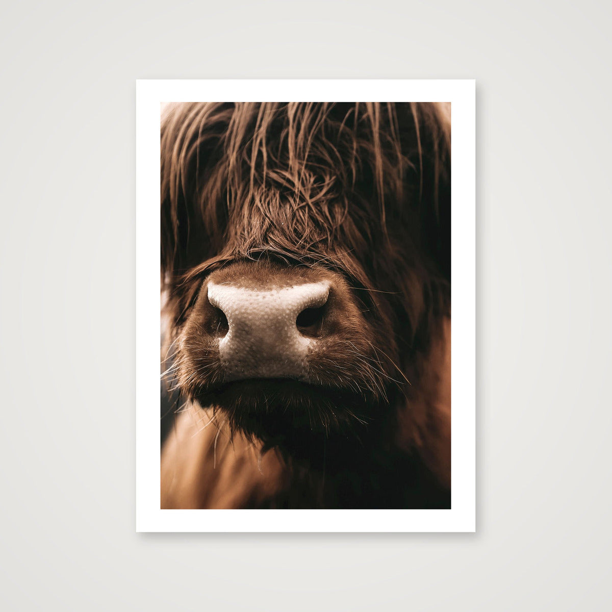 1585  — 60×80cm, 24×31" Print only