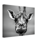 422bb95a-038a-4423-86df-b07df6ed6f68