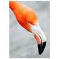 43d32f69-910e-49d9-9978-3302cac08389