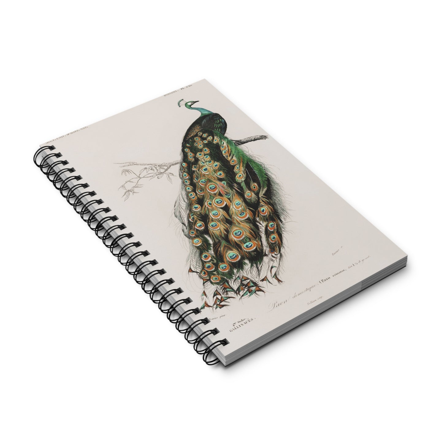 SUMMER - College Notebook Gift For Journalling Spiral Notebook - Ruled Line Journal For Woman Spiral Note Book Aesthetic Stationery Work Notebook