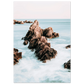 44547205-f459-4dc1-88f1-d5837254cfb6