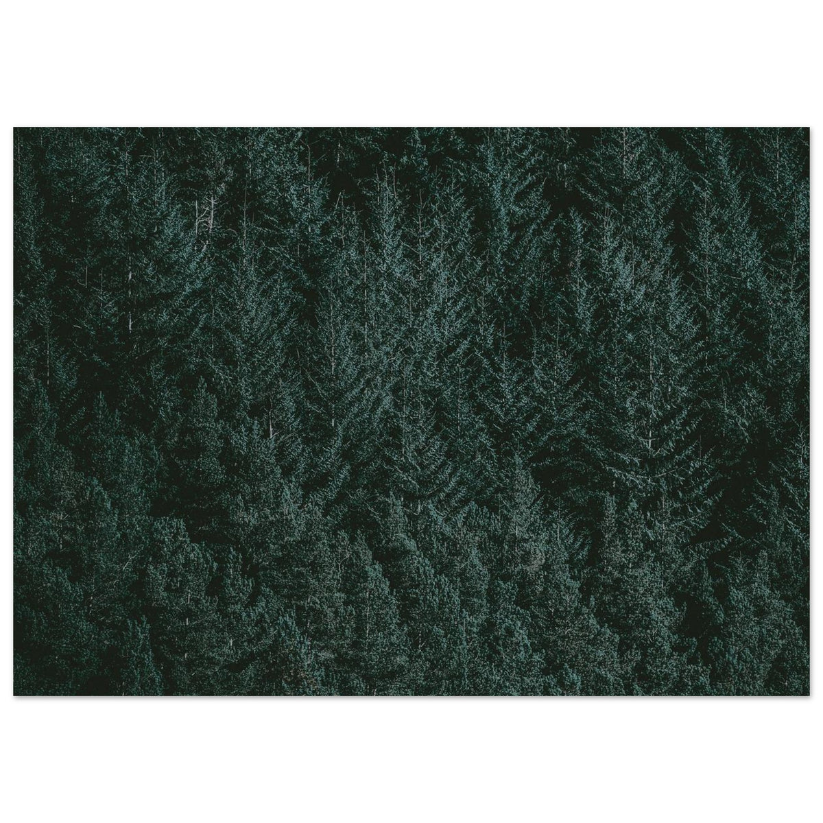 448850c3-ce1a-460c-8cbd-e090e42aaf23