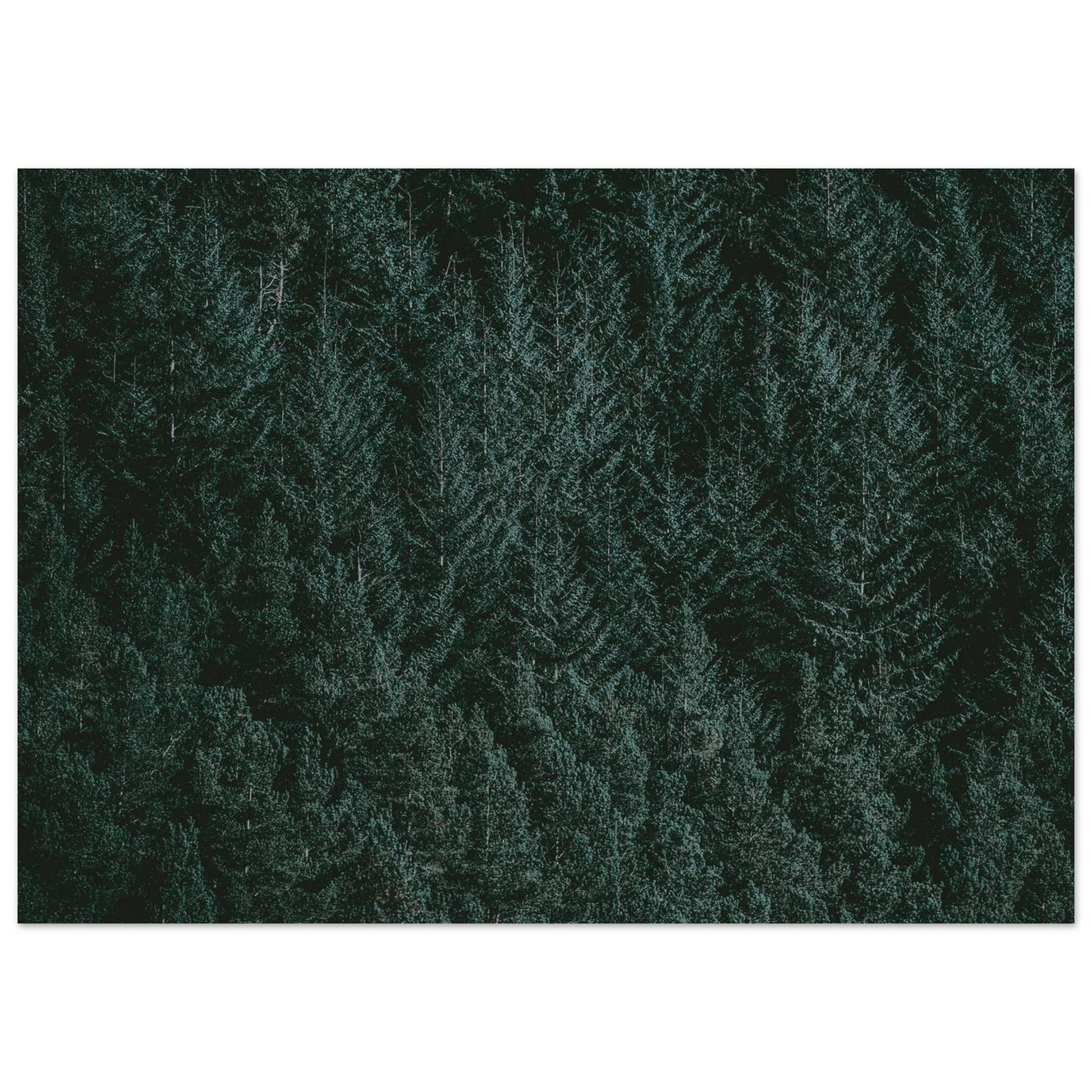 448850c3-ce1a-460c-8cbd-e090e42aaf23