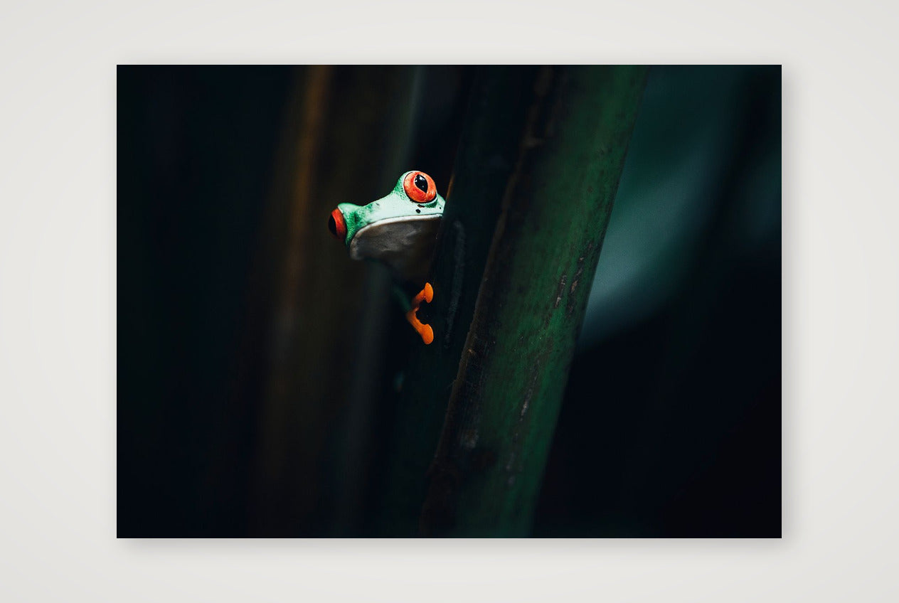 501 — 59×42cm, 23×17" Print only
