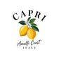 Capri Decal Italy Lemon Sticker Amalfi Coast Travel Decal Mediterranean Sticker For Friend Italy Souvenir For Her Gift For Traveler Gift