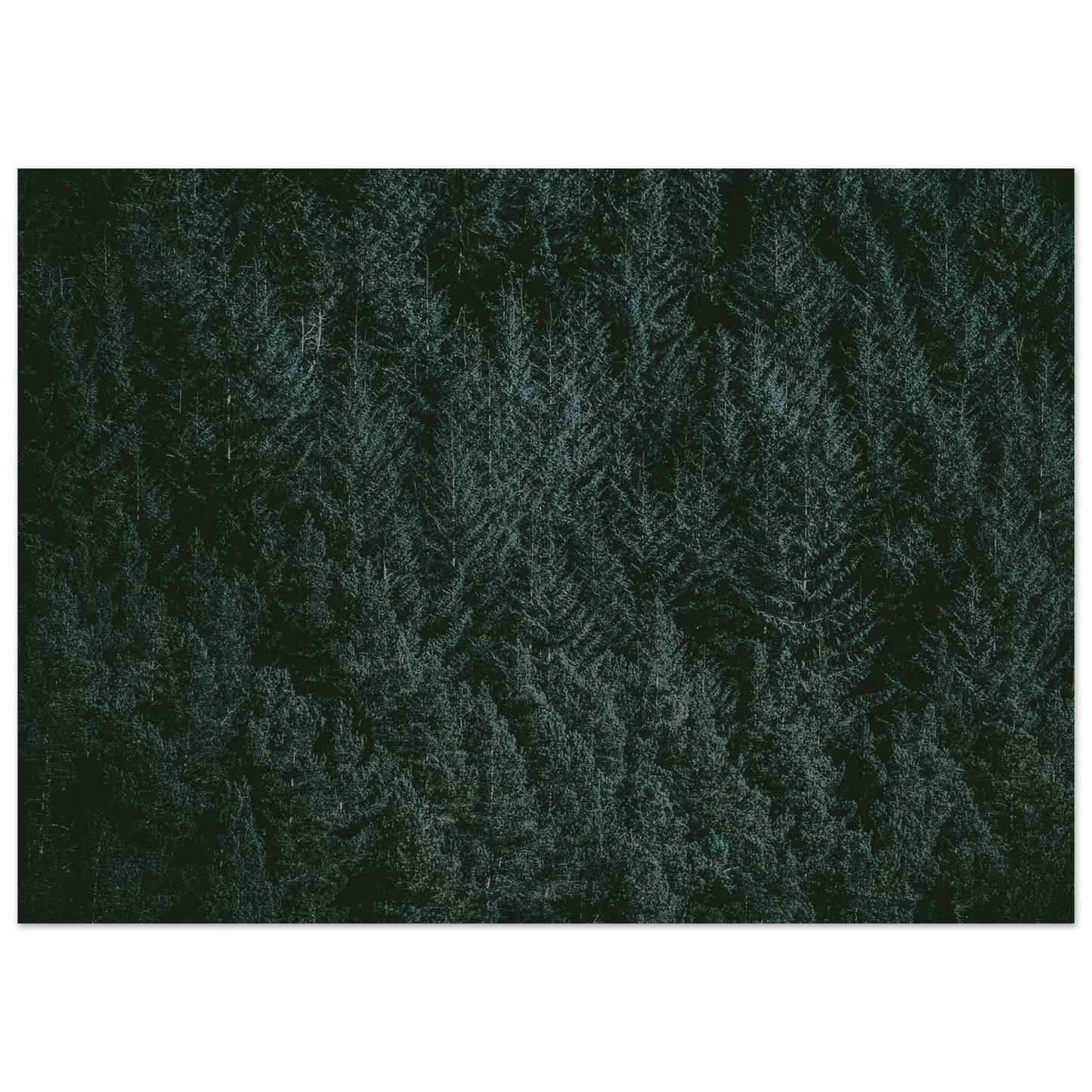 468af330-d670-4d07-a3ec-2e9ea00d8053