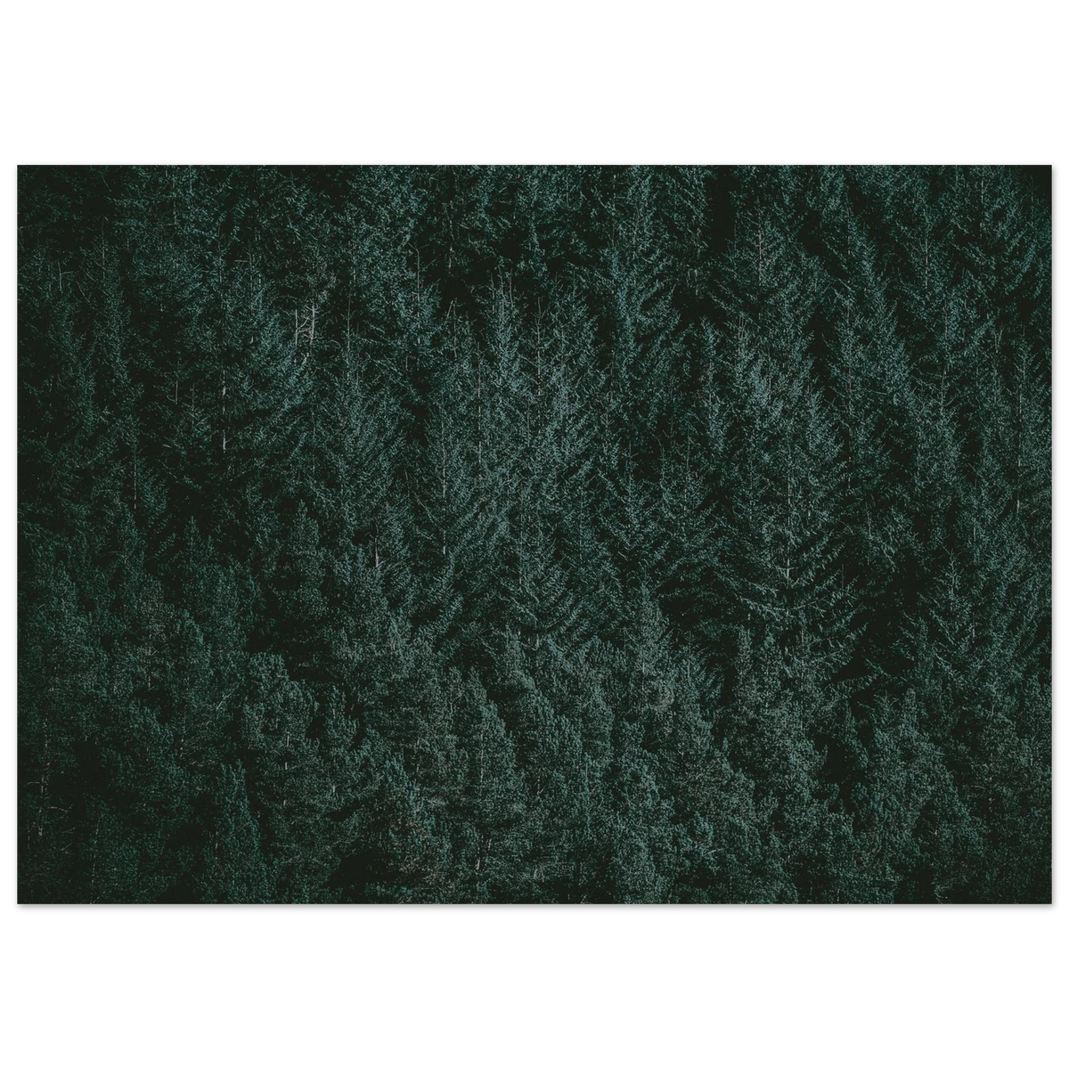 468af330-d670-4d07-a3ec-2e9ea00d8053