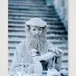 423 — 42×59cm, 17×23" Print only