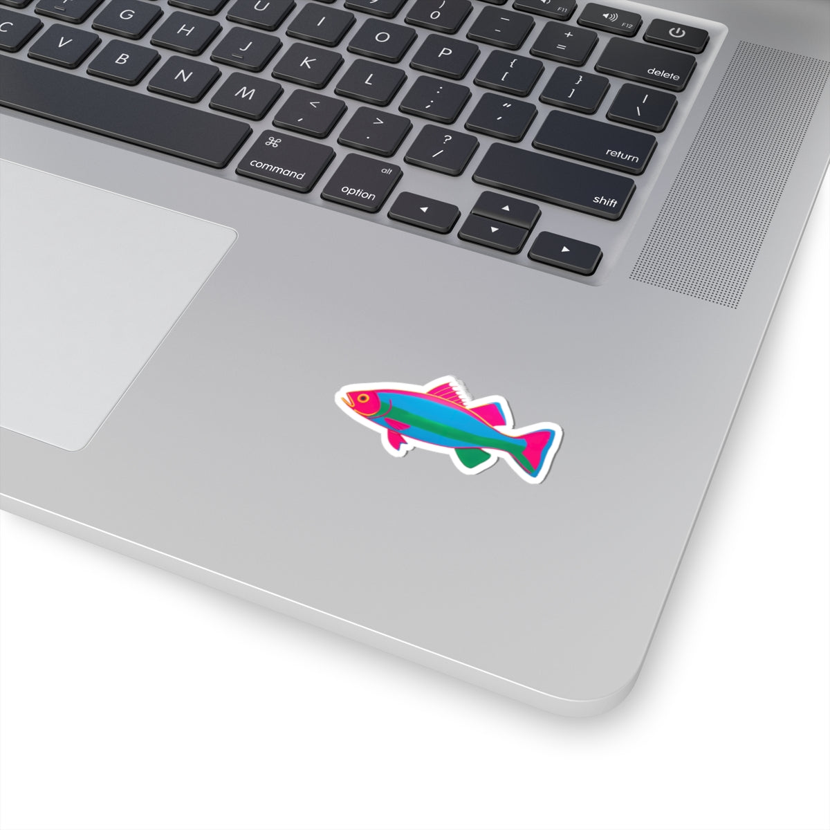 Stickers For Fish Lover Gift Colorful Trout Decal Woman Angler Present Lake Vacation Keepsake Outdoor Adventure Birthday Accessory Summer