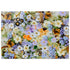 Spring meadow botanical flowers 