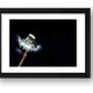 24 — framed