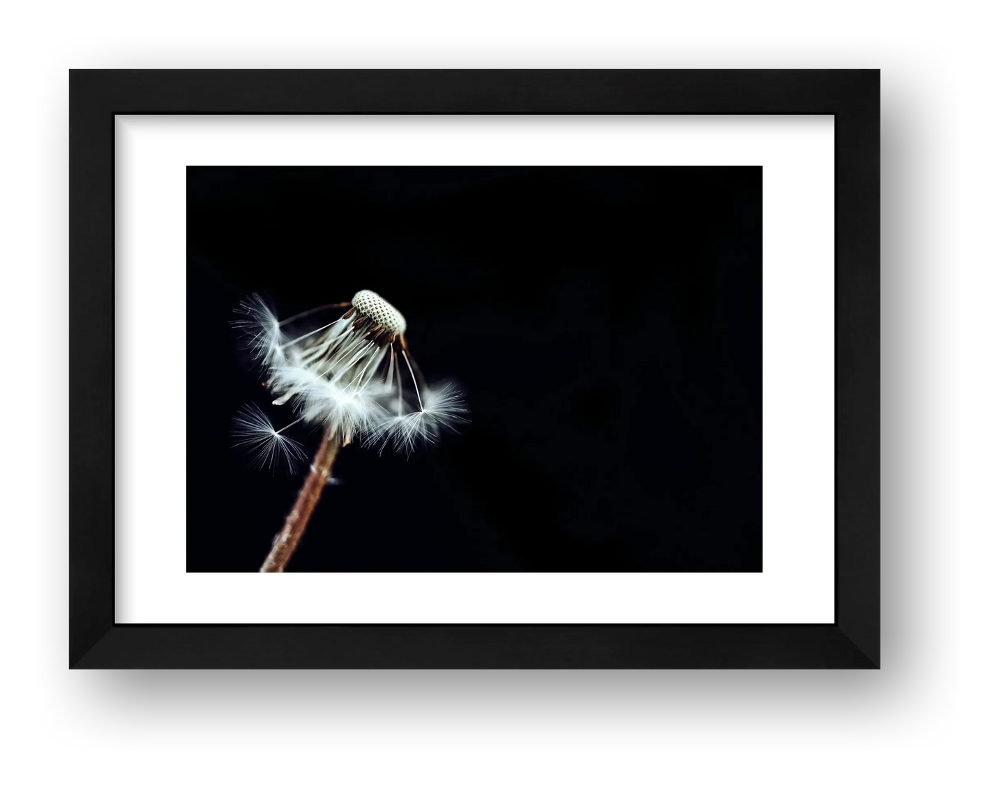 24 — framed