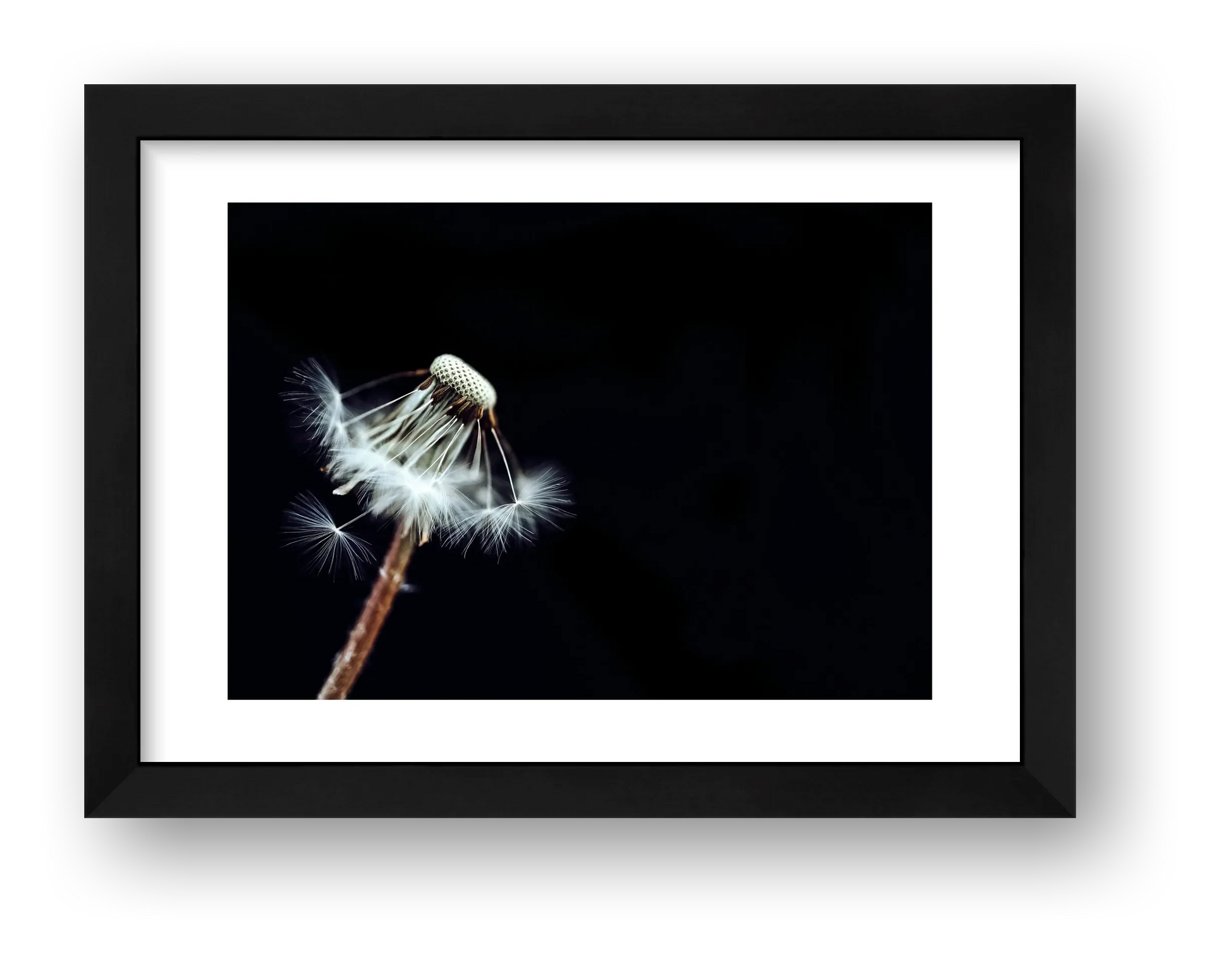 24 — framed