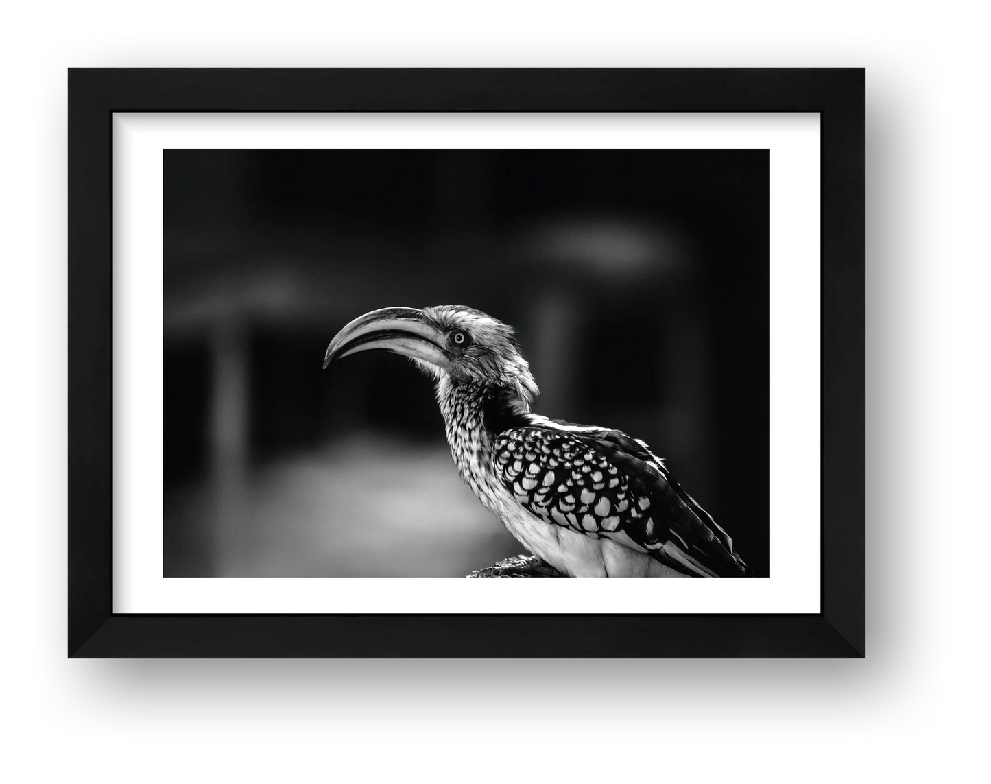 482 — framed