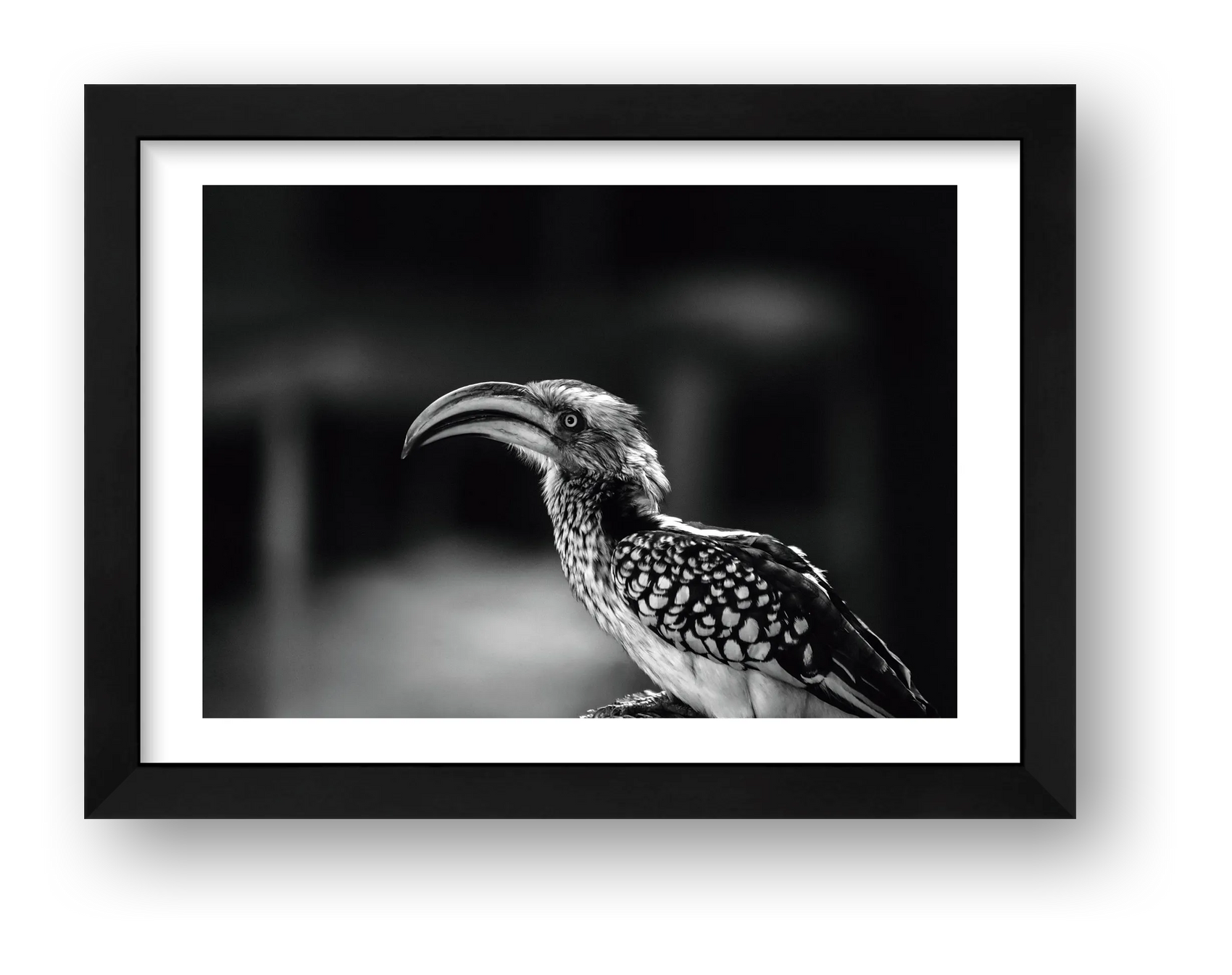 482 — framed
