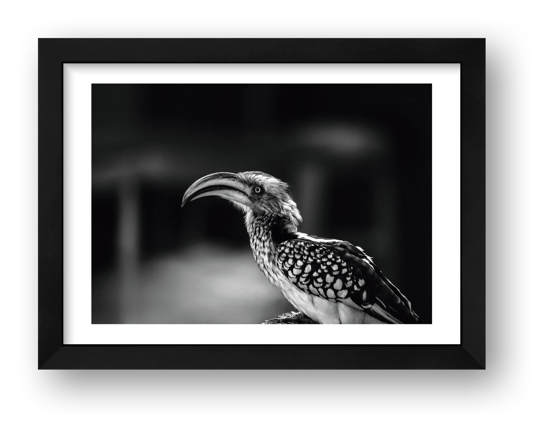 482 — framed