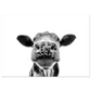 49da0f21-65c1-4df5-ac81-af33ae5a90be