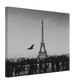 4a80d7da-aa40-4e1e-b31a-ebf4577afb1a