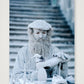423 — 59×84cm, 23×33" Print only