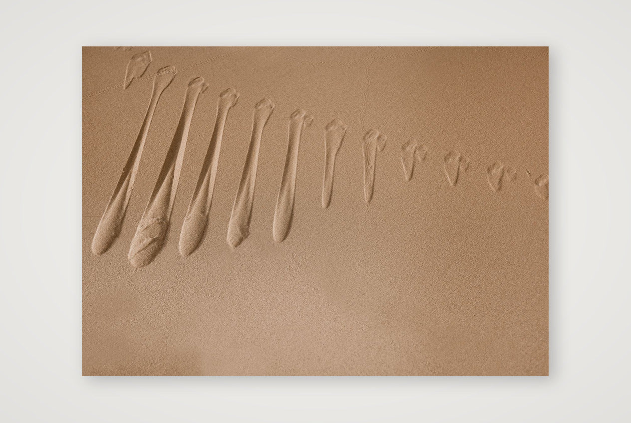 1901 — A4 (30×21cm, 12×8") Print only