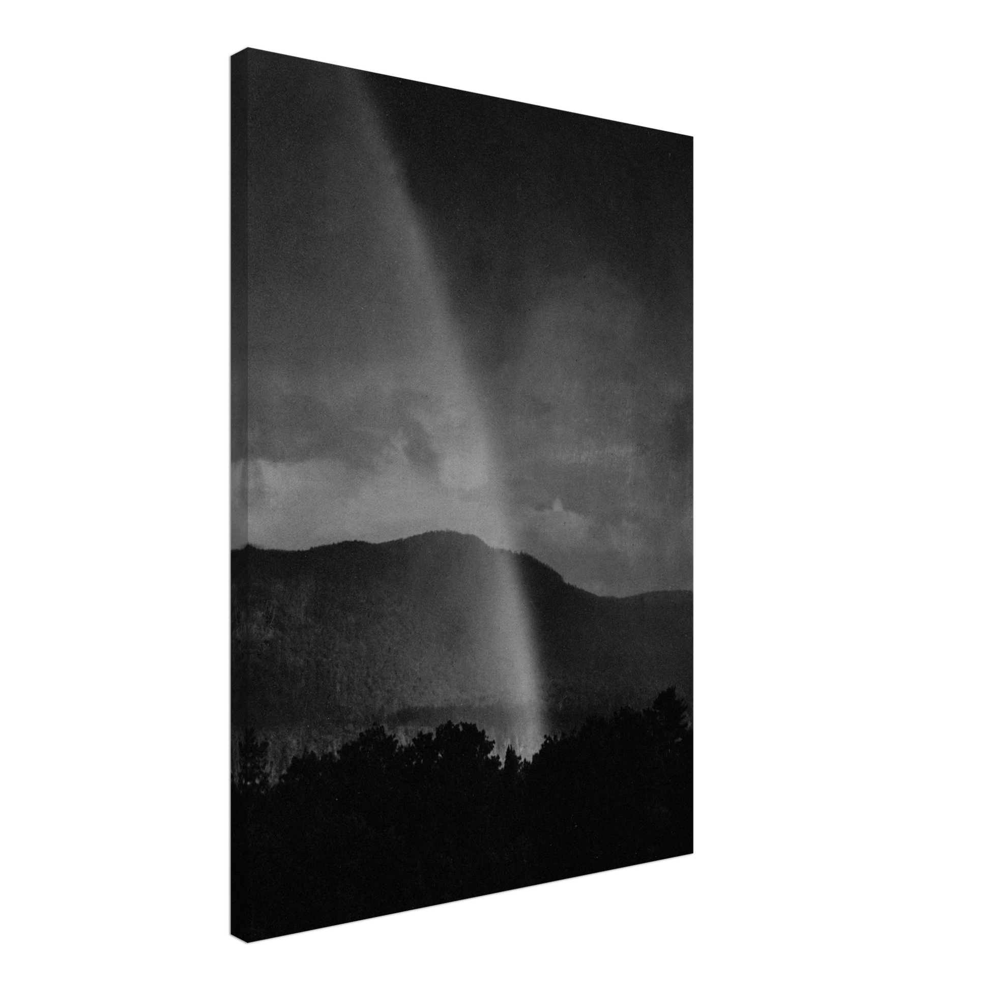 4d216289-29c7-4715-8c02-69b7cebeab86