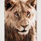 1811 — A3 (30×42cm, 12×17") Print only