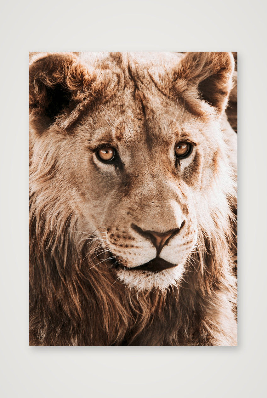 1811 — A3 (30×42cm, 12×17") Print only