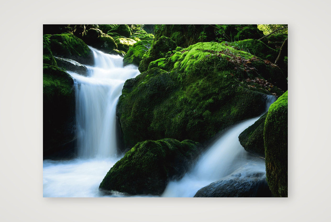40 — A3 (42×30cm, 17×12") Print only