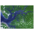 Unframed poster showing branching green and blue waterways in the Sierra Leone estuary seen from space