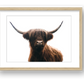 1331 — framed