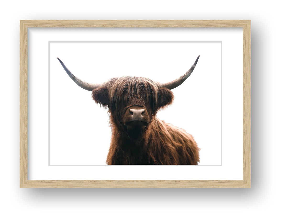 1331 — framed