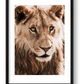 1811 — framed