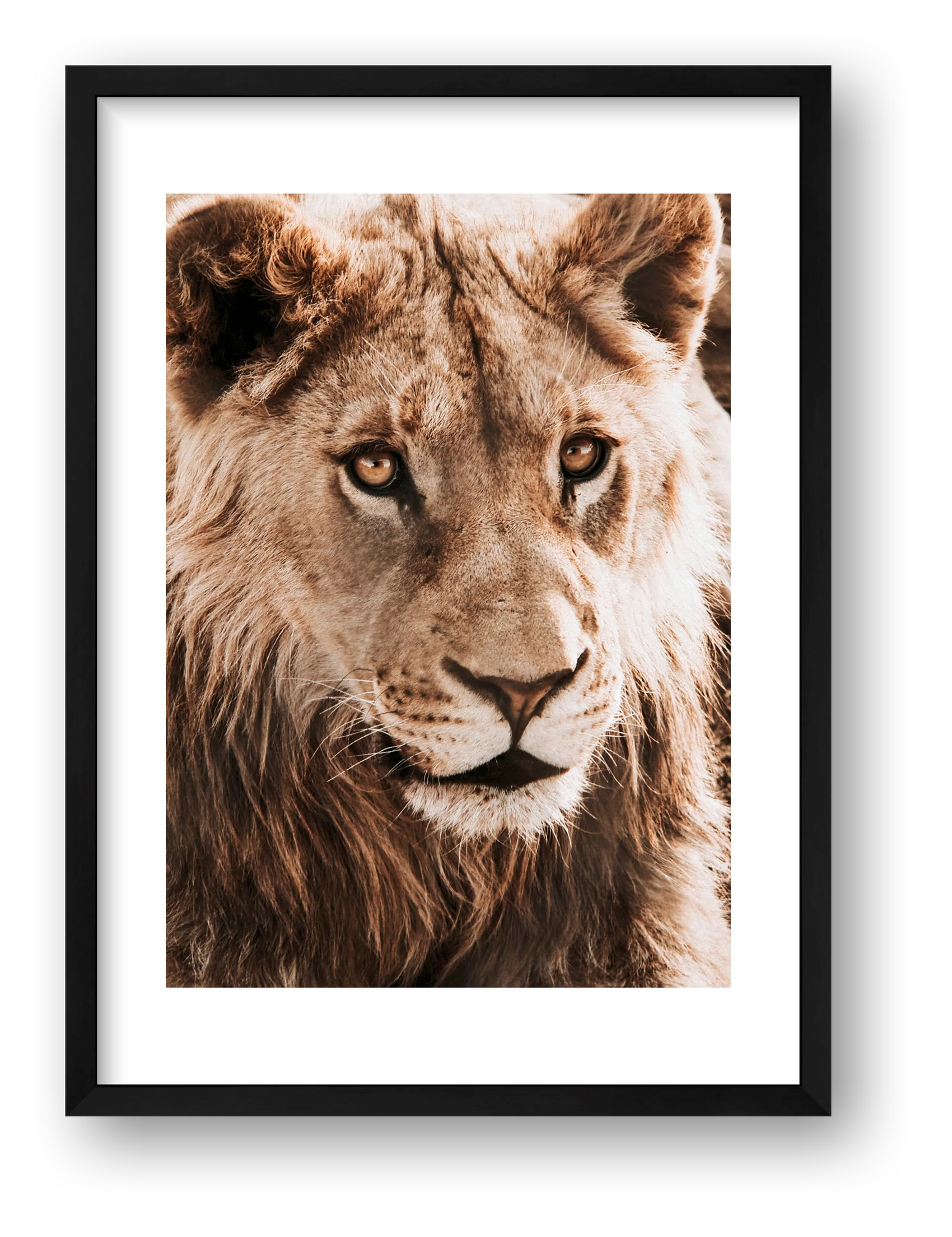 1811 — framed