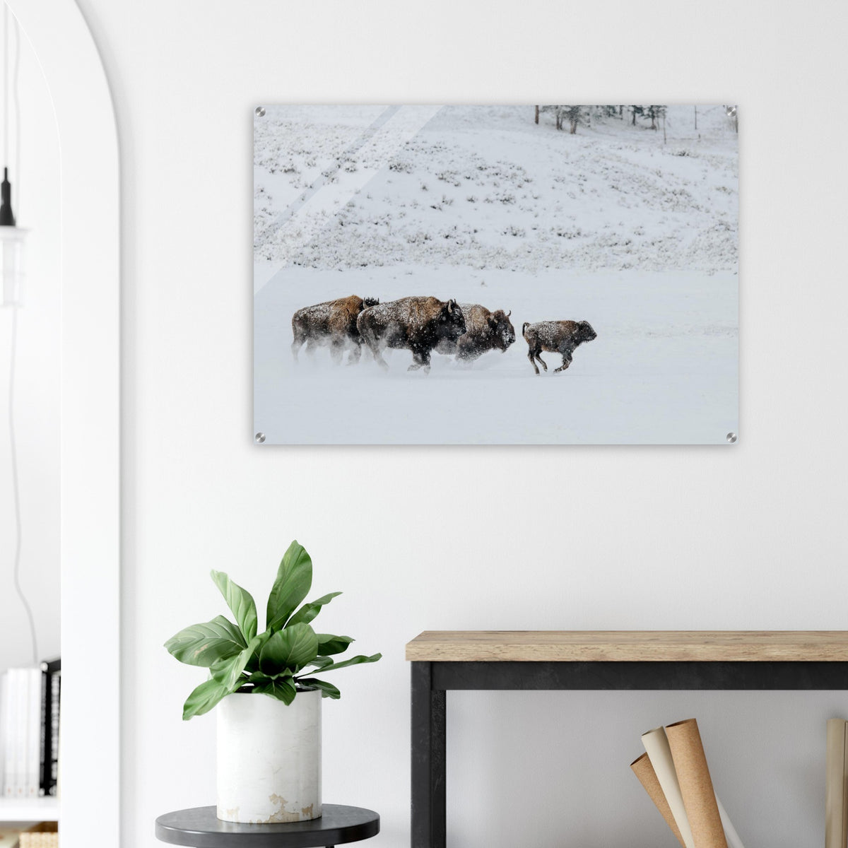 51273bd0-02f0-4e93-8f5d-fc4ab3042fb4