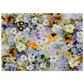 51344be0-2fa3-4e6f-ab18-776b75026b60