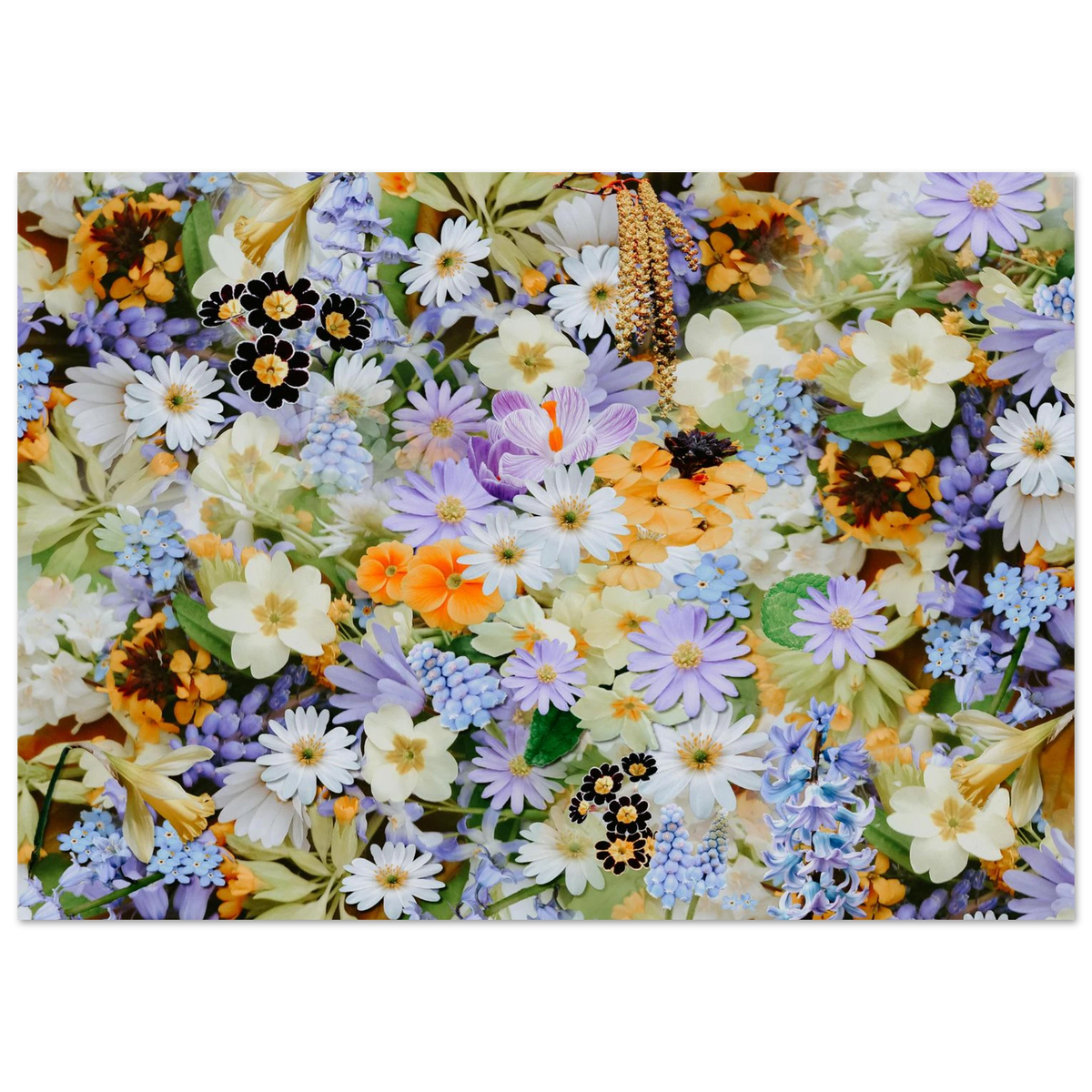 51344be0-2fa3-4e6f-ab18-776b75026b60
