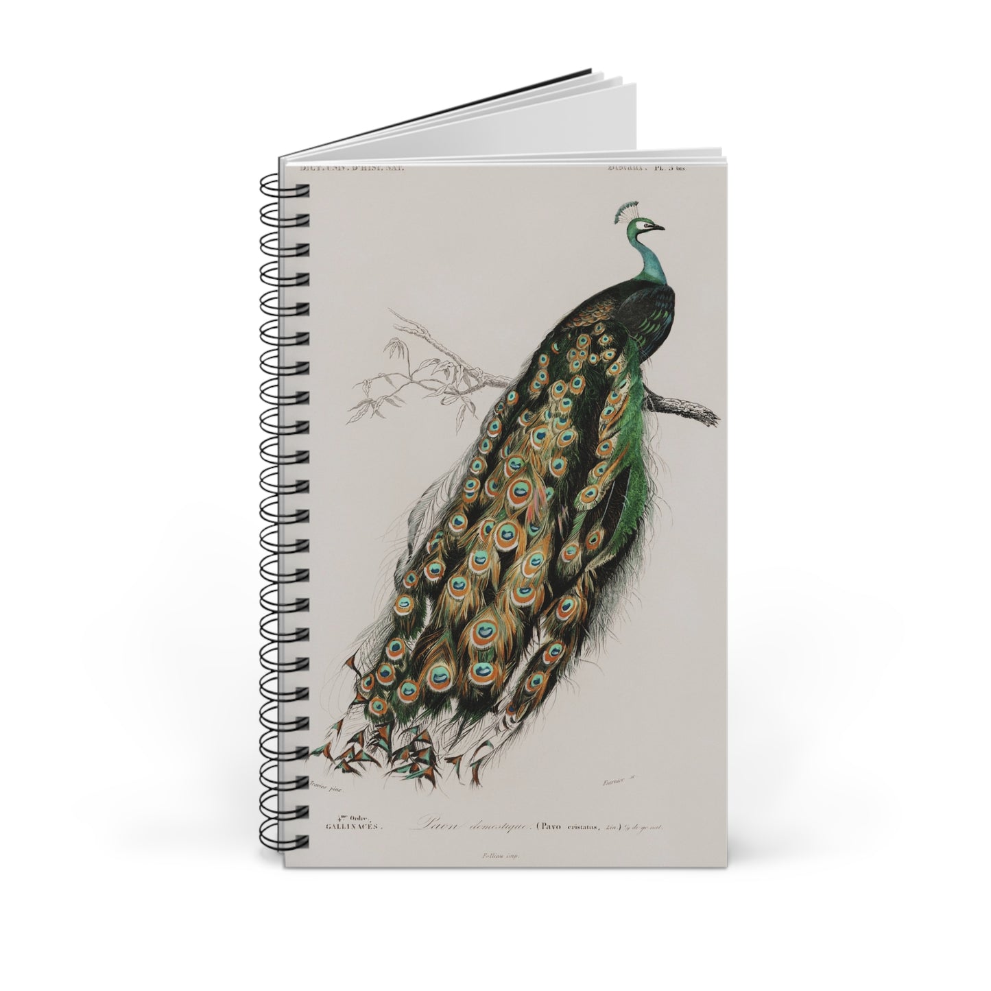 SUMMER - College Notebook Gift For Journalling Spiral Notebook - Ruled Line Journal For Woman Spiral Note Book Aesthetic Stationery Work Notebook