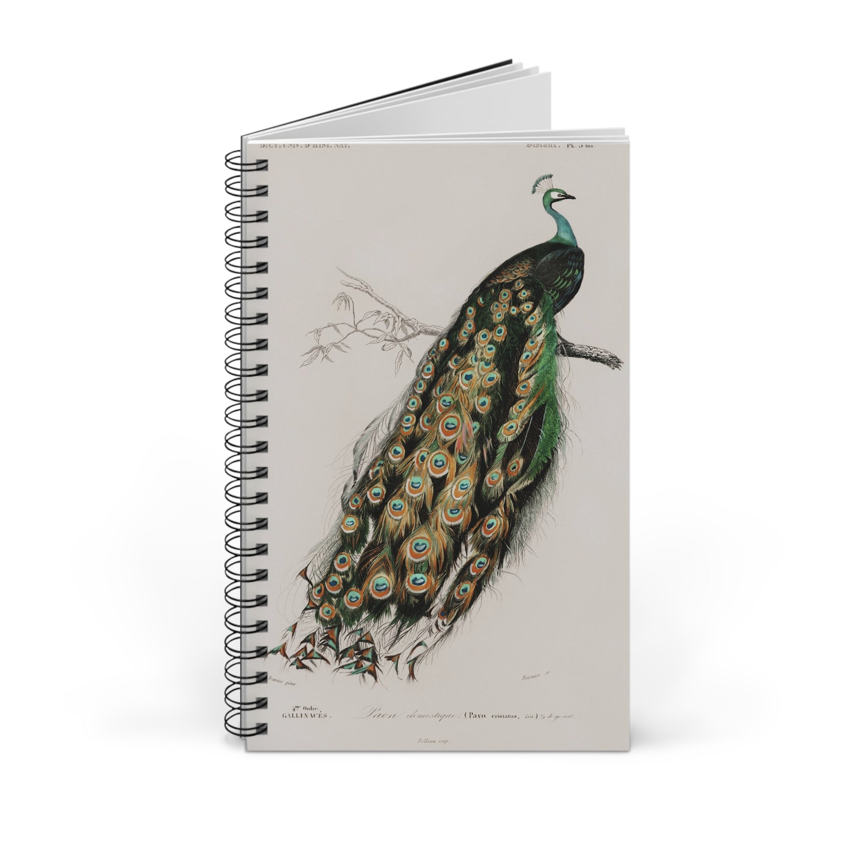 SUMMER - College Notebook Gift For Journalling Spiral Notebook - Ruled Line Journal For Woman Spiral Note Book Aesthetic Stationery Work Notebook