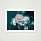 156 — 80×60cm, 31×24" Print only