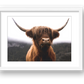61 — framed