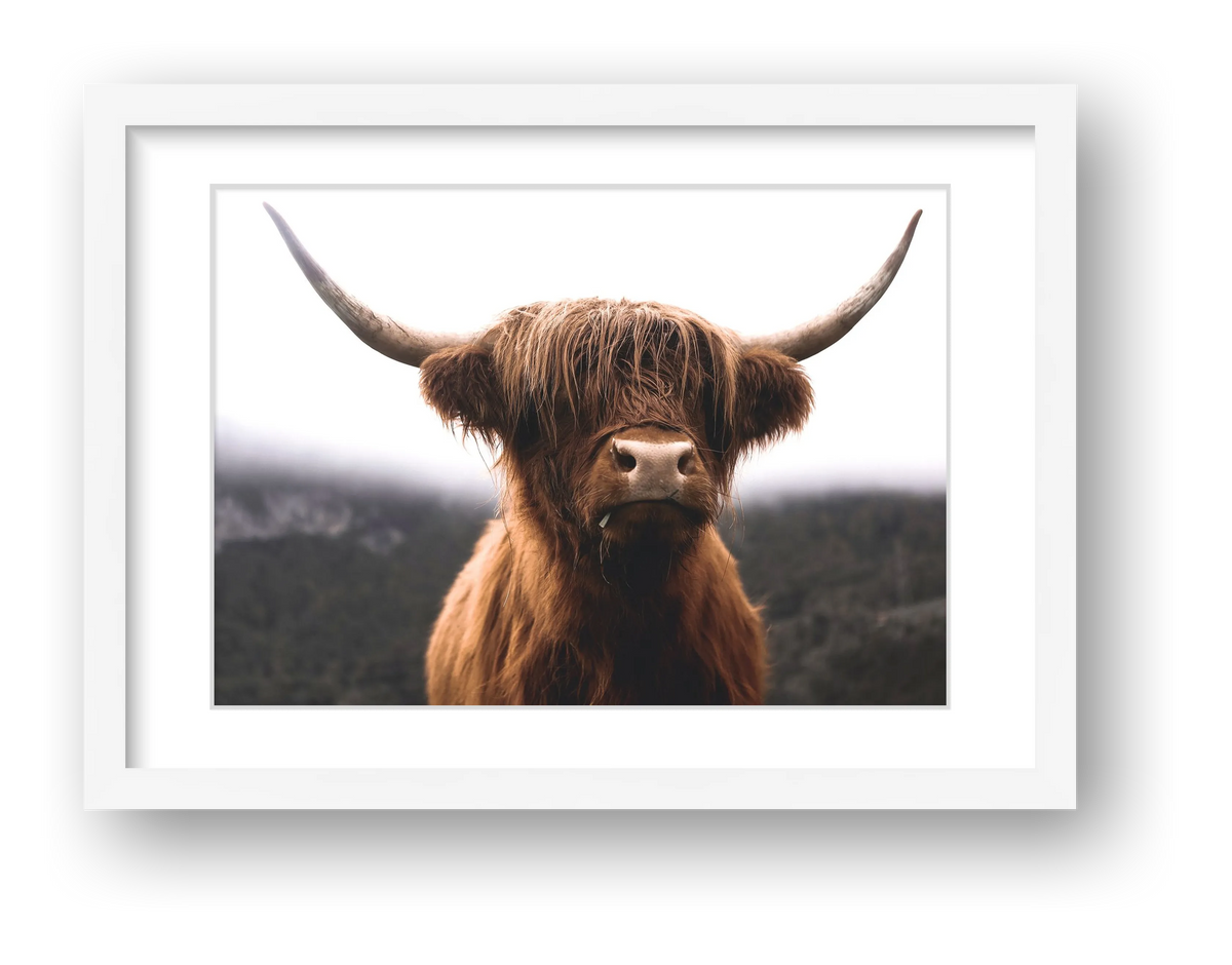 61 — framed
