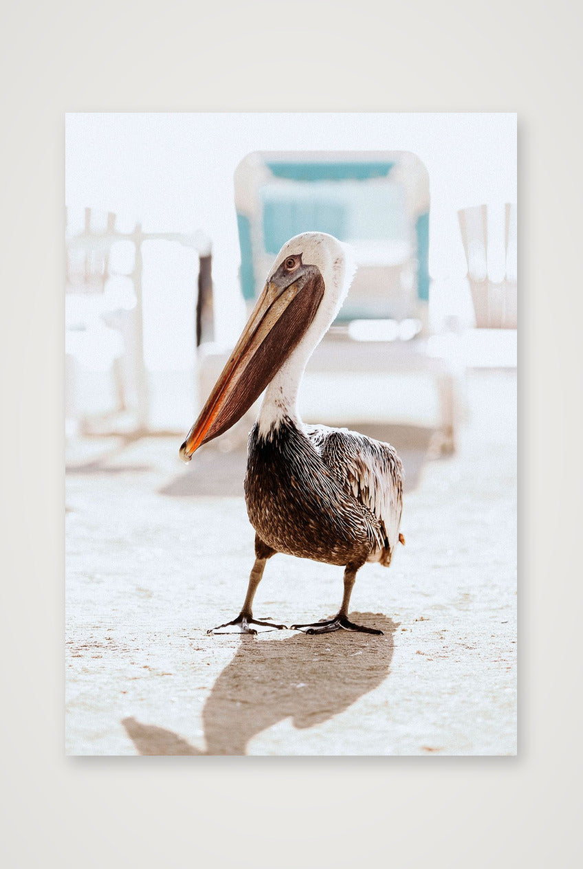 462 — 59×84cm, 23×33" Print only