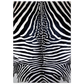 5235cc2b-2978-422f-aab7-ac6870c35313