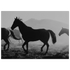 52865ce1-107d-4bb0-9cb8-545557eb1f27
