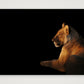 89 — 59×42cm, 23×17" Print only