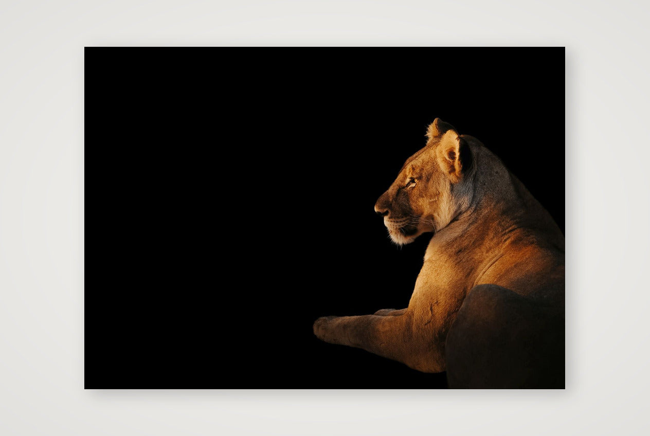 89 — 59×42cm, 23×17" Print only