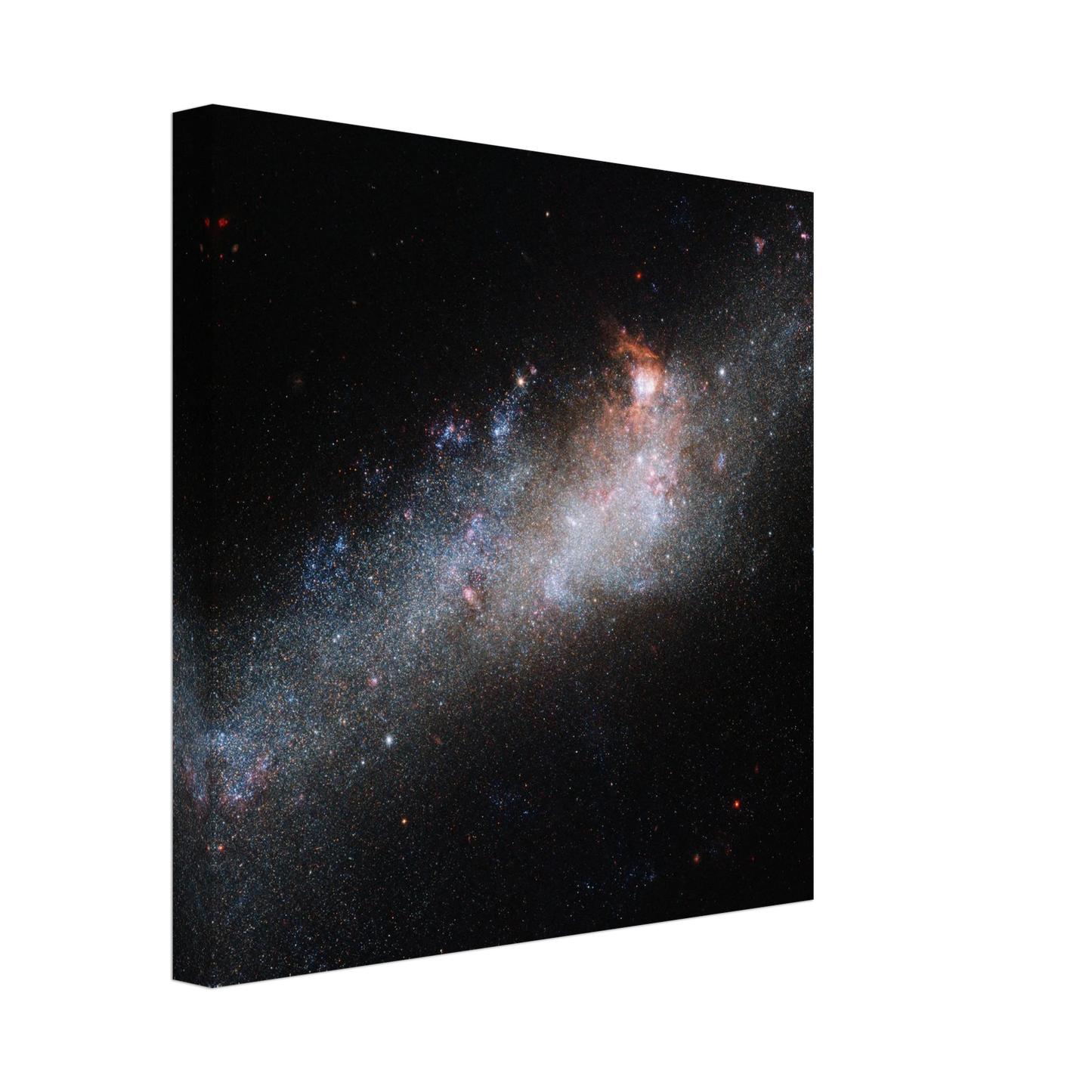 5311a39a-ccc5-4f9d-8e6e-af3b9a73a3fc
