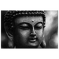 531fabeb-3589-416b-bb90-5f28444655d8