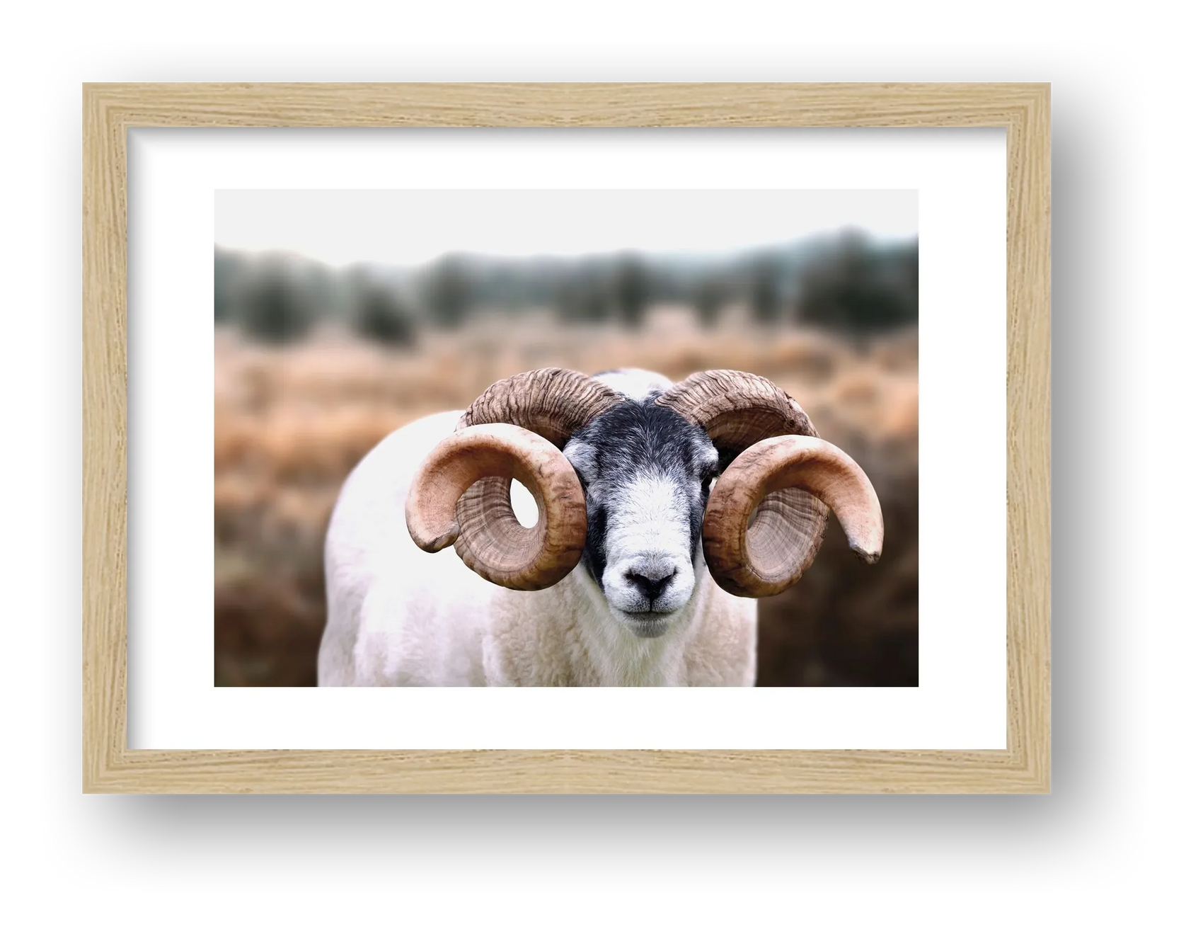 1589 — framed