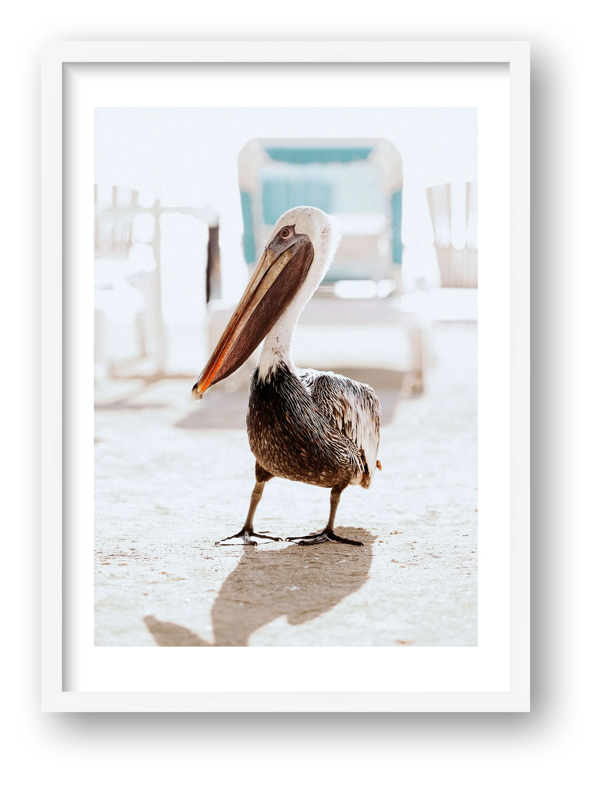 462 — framed